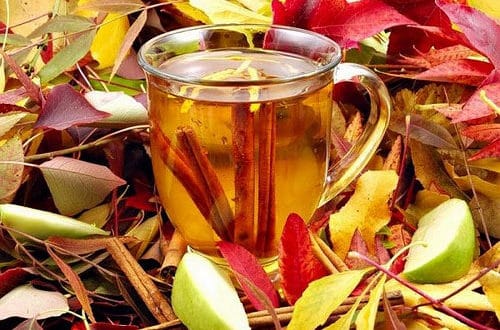 Иммунитет как броня! Марокканский, ванильный, золотой: 6 рецептов чая, которые укрепят здоровье рис 5