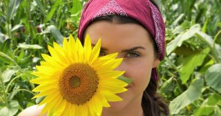 sun-flower-2699771_1280
