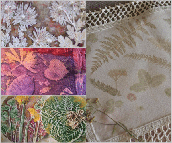 Душа растений на ткани и в глине... Экодекор для вашего дома: живые растения и их отпечатки
