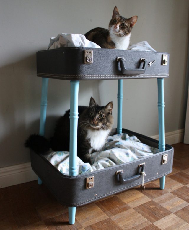 House-for-a-cat-let-the-pet-also-have-its-own-personal-space-1
