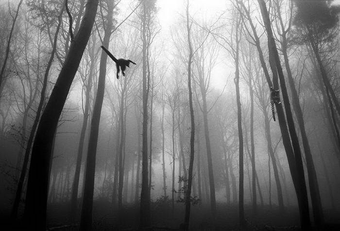 20 изумительных черно-белых фотографий от Фрэнка Махаловски рис 18
