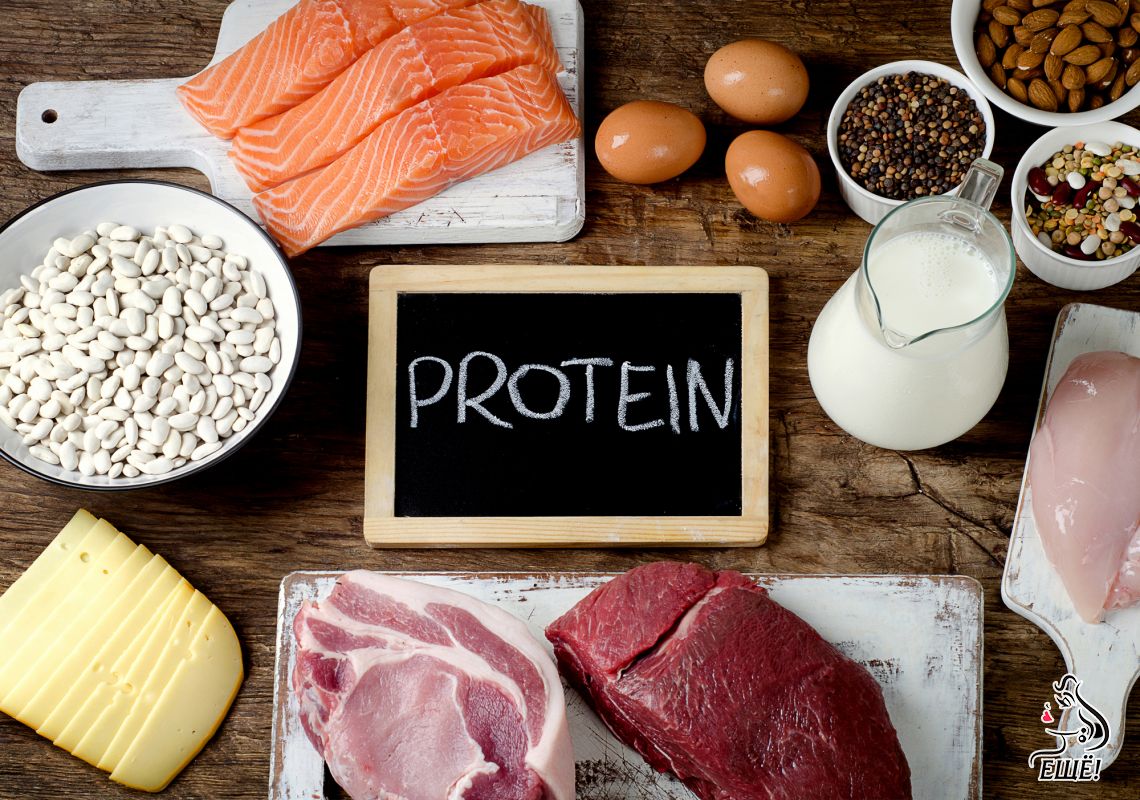 продукты содержащие белок
