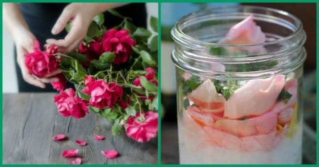Восхитительный, ароматный СКРАБ для тела с мятой и розой: пошаговый рецепт
