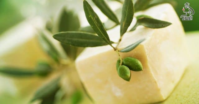 Оливковое масло – идеальная замена дорогой косметике