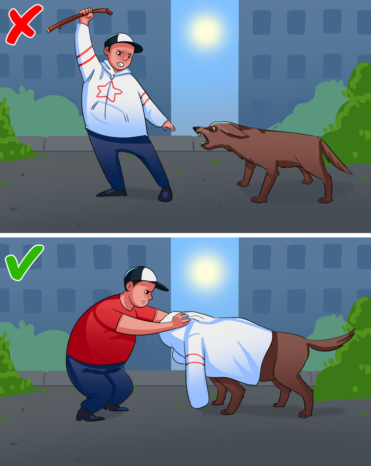 Собака нападае на человека
