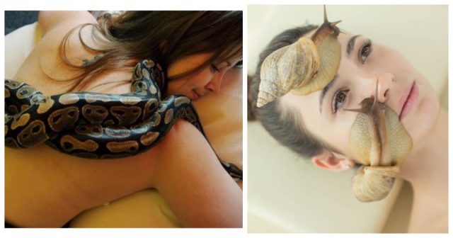 Массаж улитками, змеями и ароматерапия мясом: Сумасшедшие процедуры красоты со всего мира