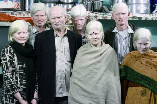 Семья альбиносов