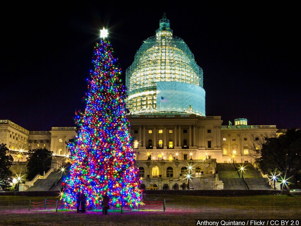 Вашингтон, рождественская елка с фигурами лю.дей внизу на фоне Капитолия