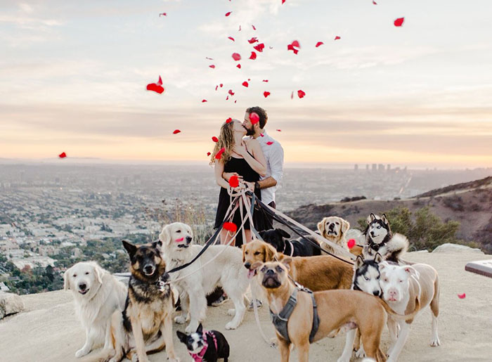 парень и девушка целуются и держат 16 собак