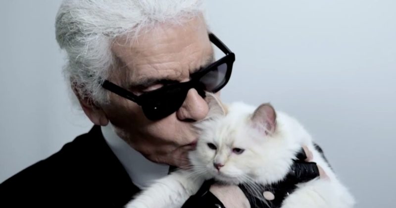 белая богатая кошка Choupette на руках у целующего ее Лагерфельда - хозяина кошки