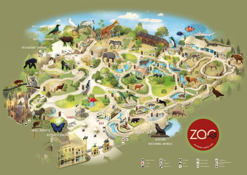 Схема зоопарка г Антверпен