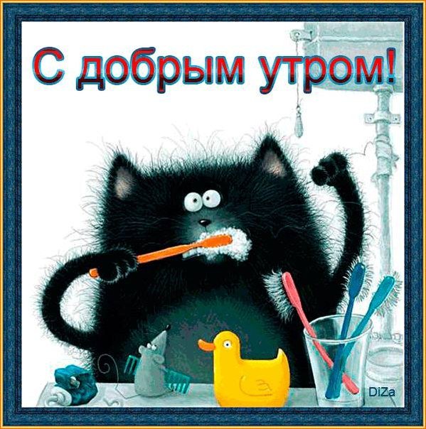 черный кот чистит зубы