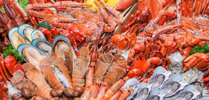 Самые дорогие морепродукты в мире: что, где и почем