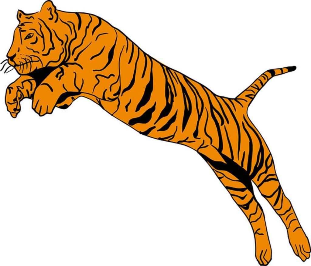 Тигр сбоку вектор