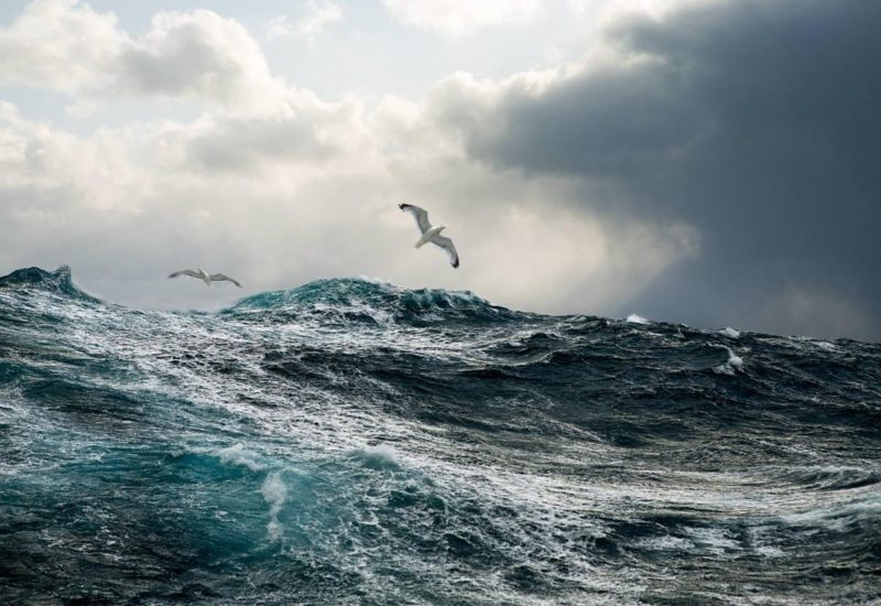 волнение на море с летающими над волнами чайками