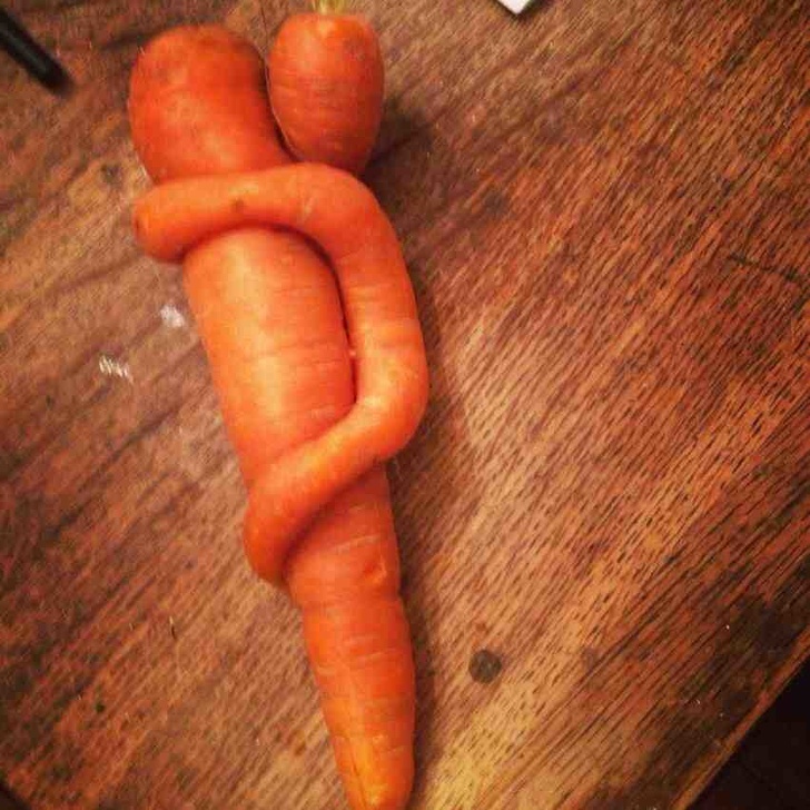 Переплетенная морковь