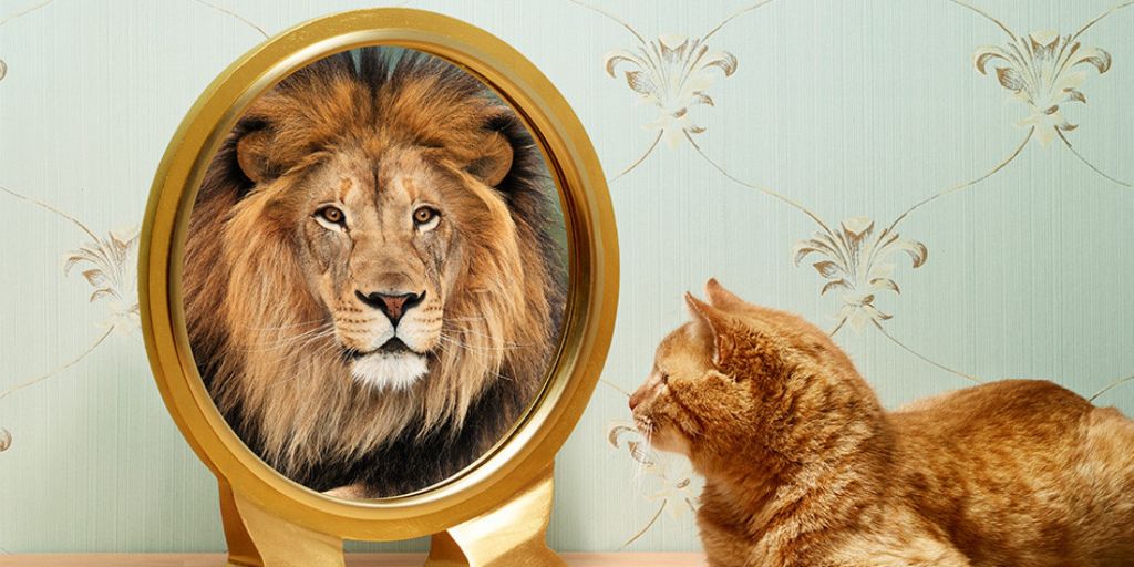 Кот смотрит в зеркало и видит отражение льва