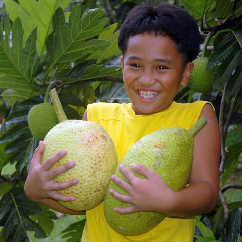 мальчик держит в руках фрукты