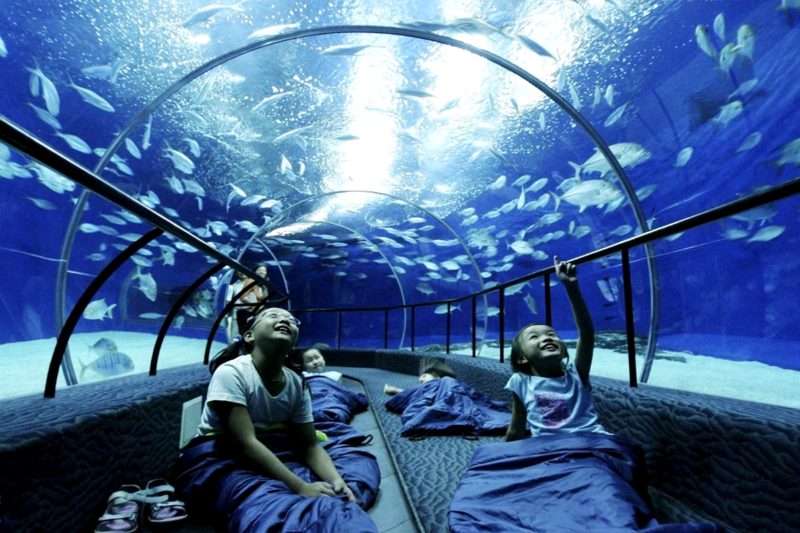 Шанхайский океанариум, сидящие в тоннеле на полю люди рассматривают рыбок