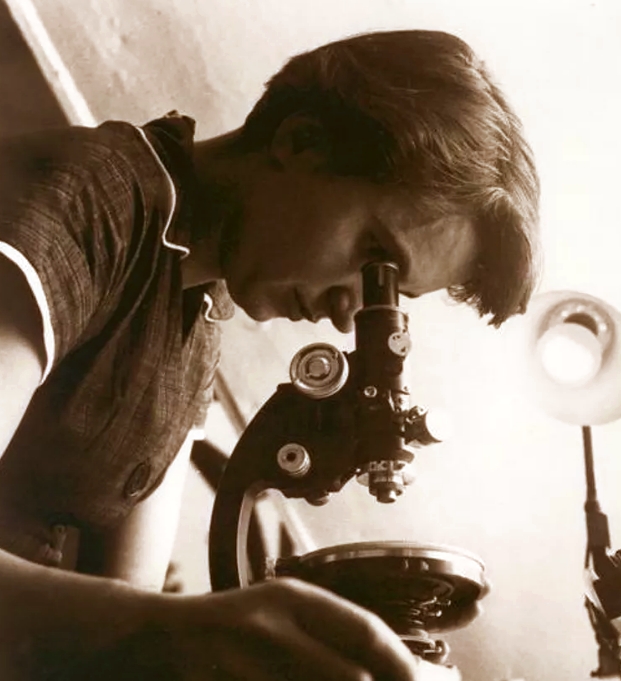 Розалинда Франклин смотрит в микроскоп