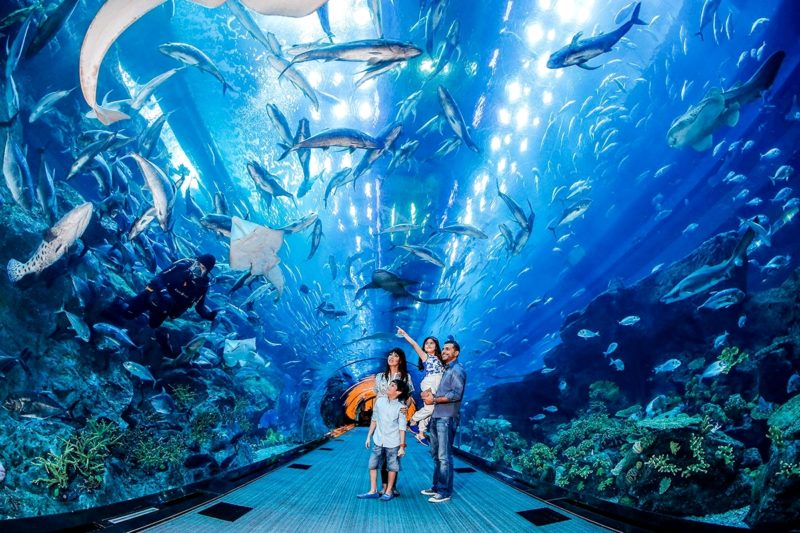 тоннель океанариума Молл Аквариум (Дубаи) с группой посетителей и дайвером за стеклом
