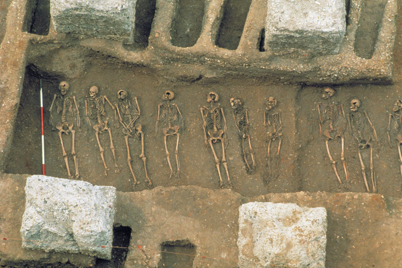 Человеческие останки, найденные во время раскопок