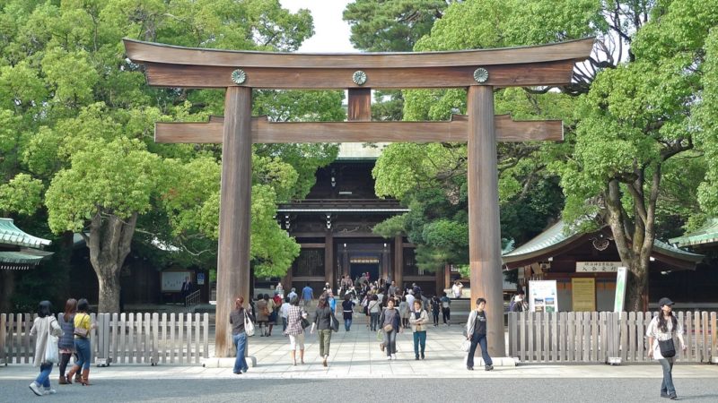 японские ворота и сад
