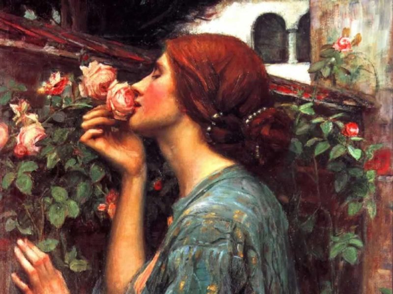 Женщина, вдыхающая аромат розы
