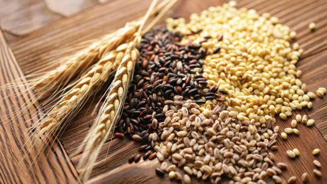 колоски пшеницы и цельные зерна