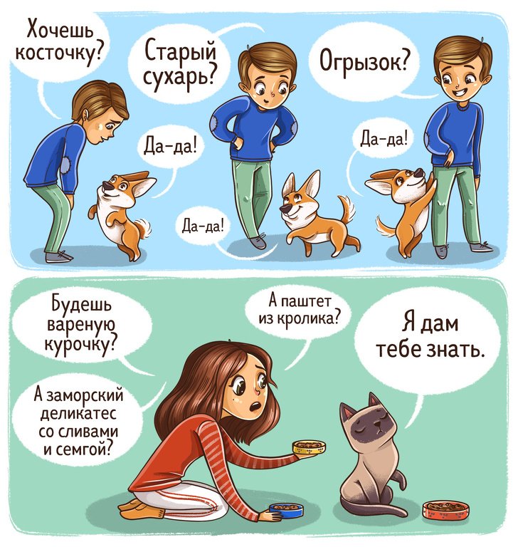 Комиксы о котах и собаках