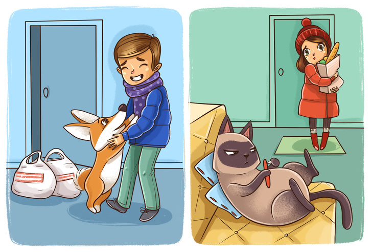 Комиксы о котах и собаках рис 2