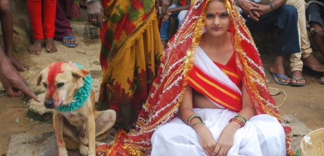 Любовь зла. Индийская девушка вышла замуж за собаку