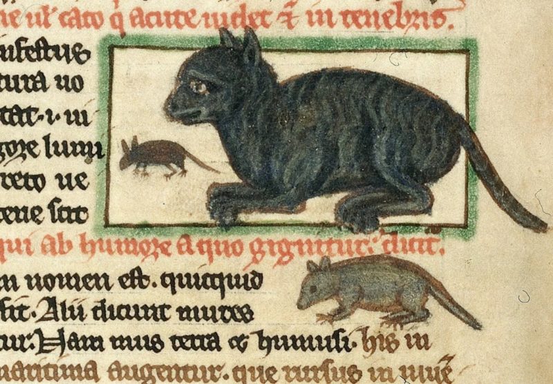 фрагмент средневековой книги с изображением кота и мышей