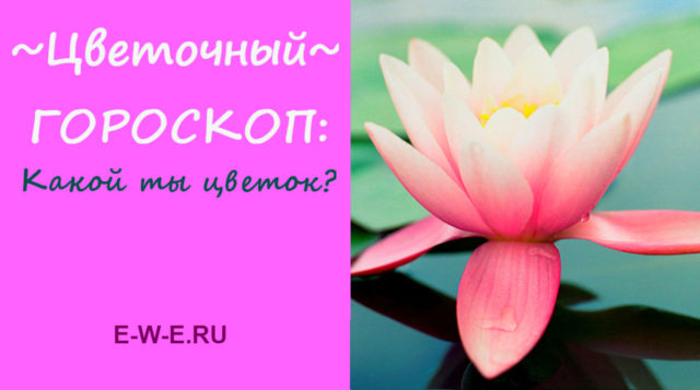 Цветочный гороскоп! Кто ты: нарцисс, роза или хризантема?