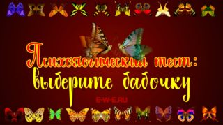babochka_01