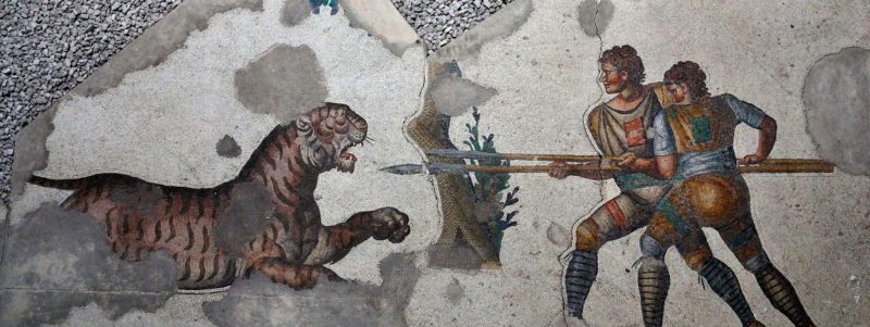 два гладиатора против тигра