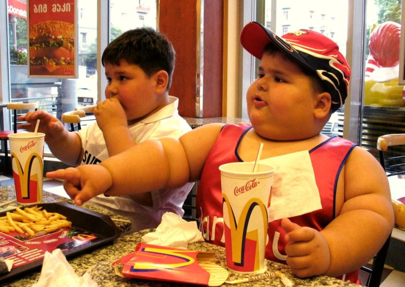 два толстых американских ребенка