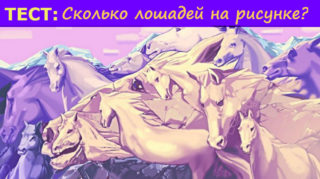 testhorse111