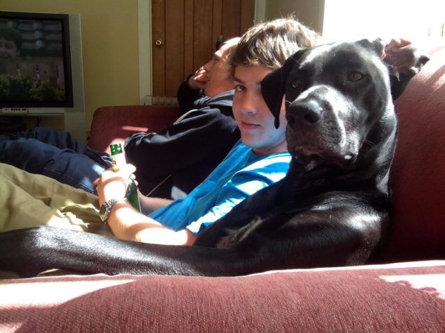 собака сидит на диване с парнями