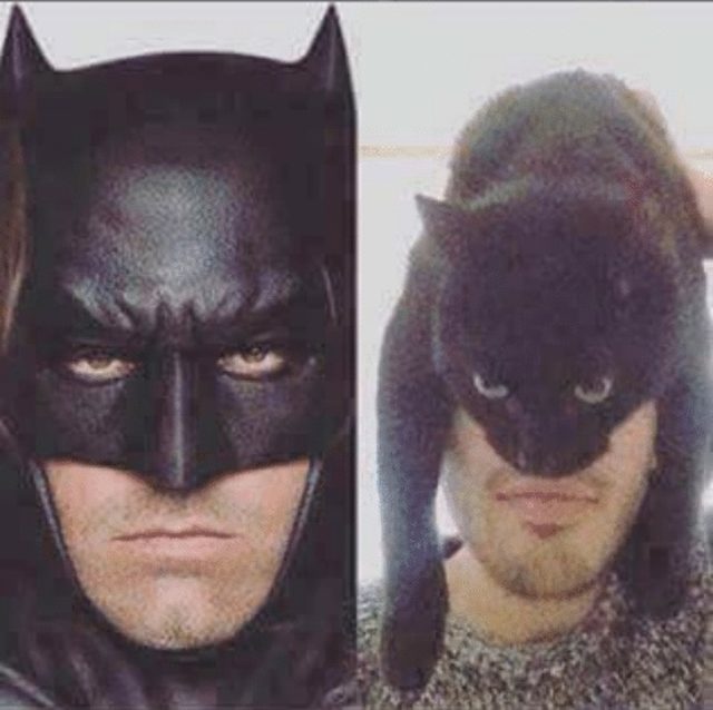 бэтмен и мужчина с черным котом