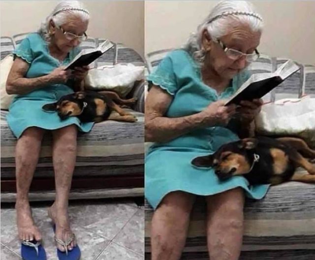старушка читает книгу собаке