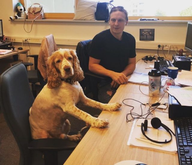 собака сидит на работе с парнем
