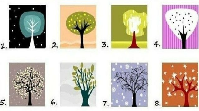 Тест: Выберите понравившееся дерево и узнайте кое-что новое о себе!