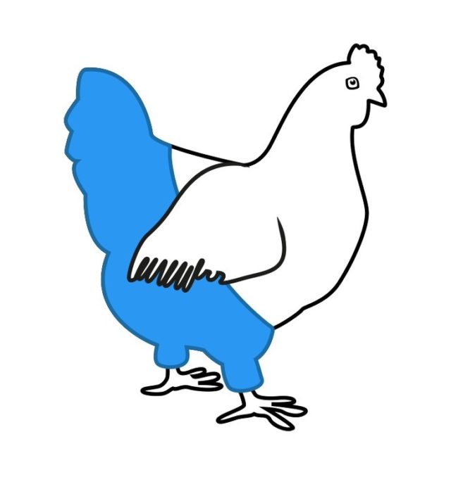 рисунок курицы в синих штанах
