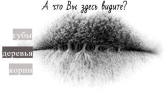зрительный тест