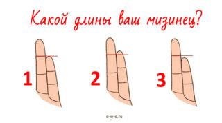 тест