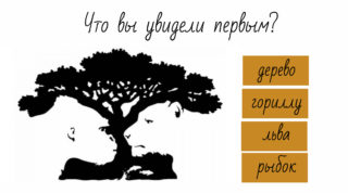 что вы увидели первым