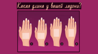 Какой длины ваша ладонь?