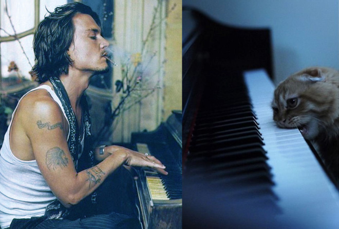 кот и пианино