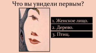 5d88e0556f24eb58401e4204